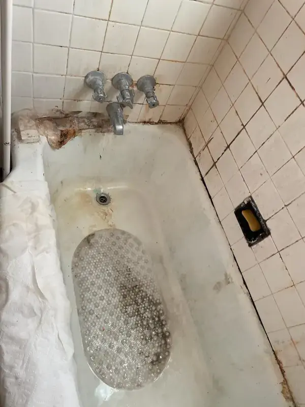 Stained bathtub with mold before move-out cleaning